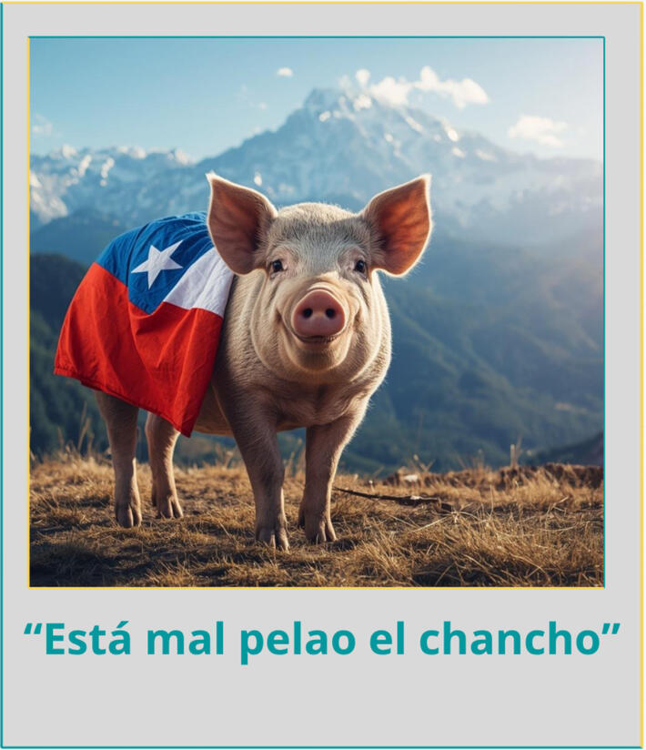 Está mal pelao el chancho