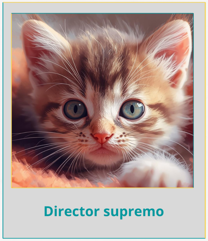 Director supremo Director supremo